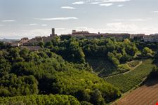 Cella Monte